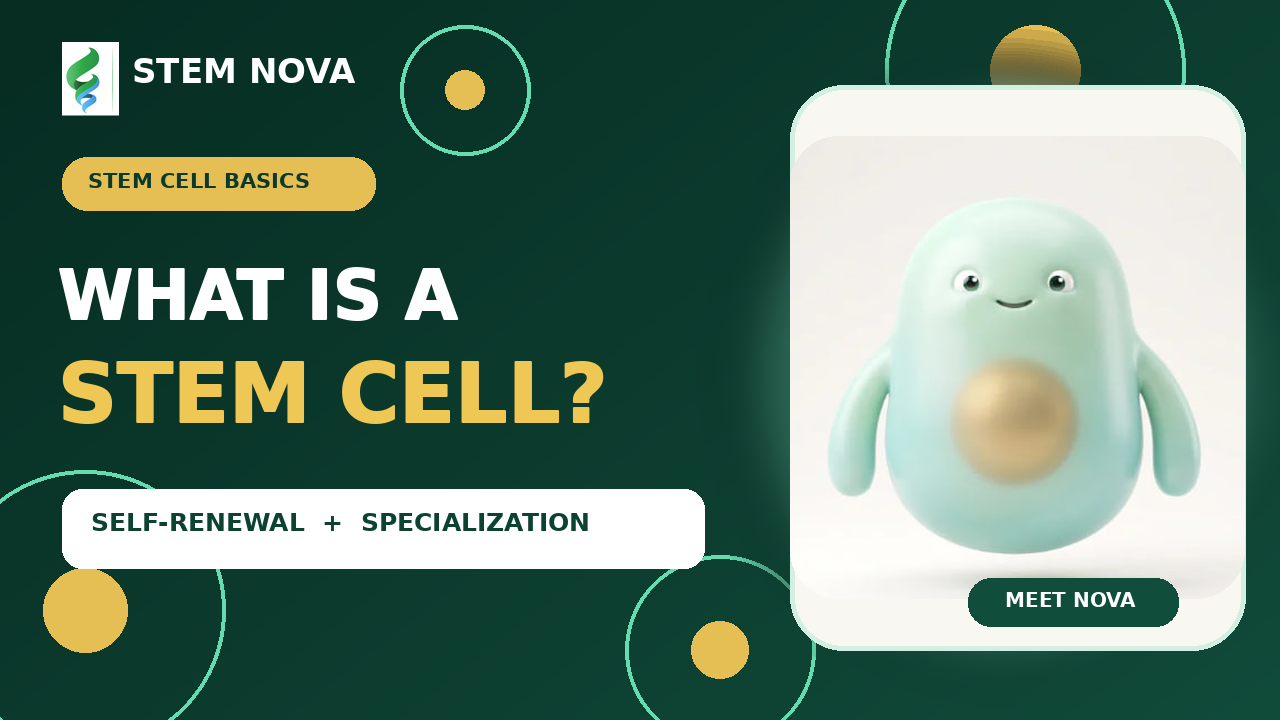 Stem Nova video thumbnail: What is a stem cell? Self-renewal and specialization, featuring the Nova cell character